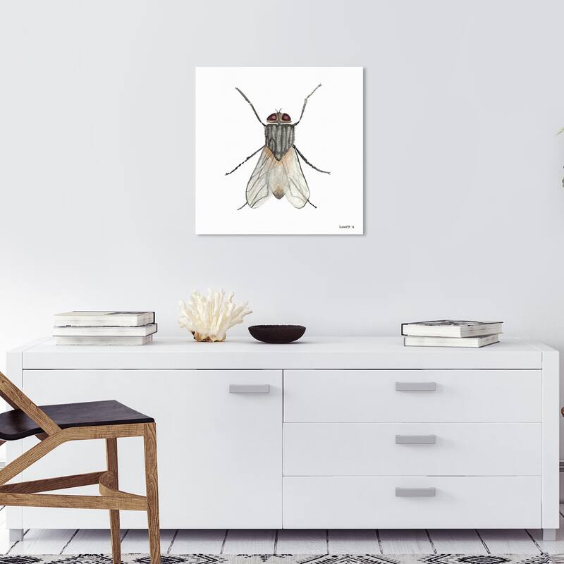 Wynwood Studio Canvas Animals Fly Gray and Light Gray Farmhouse Wall Art Canvas Print - 20 x 20