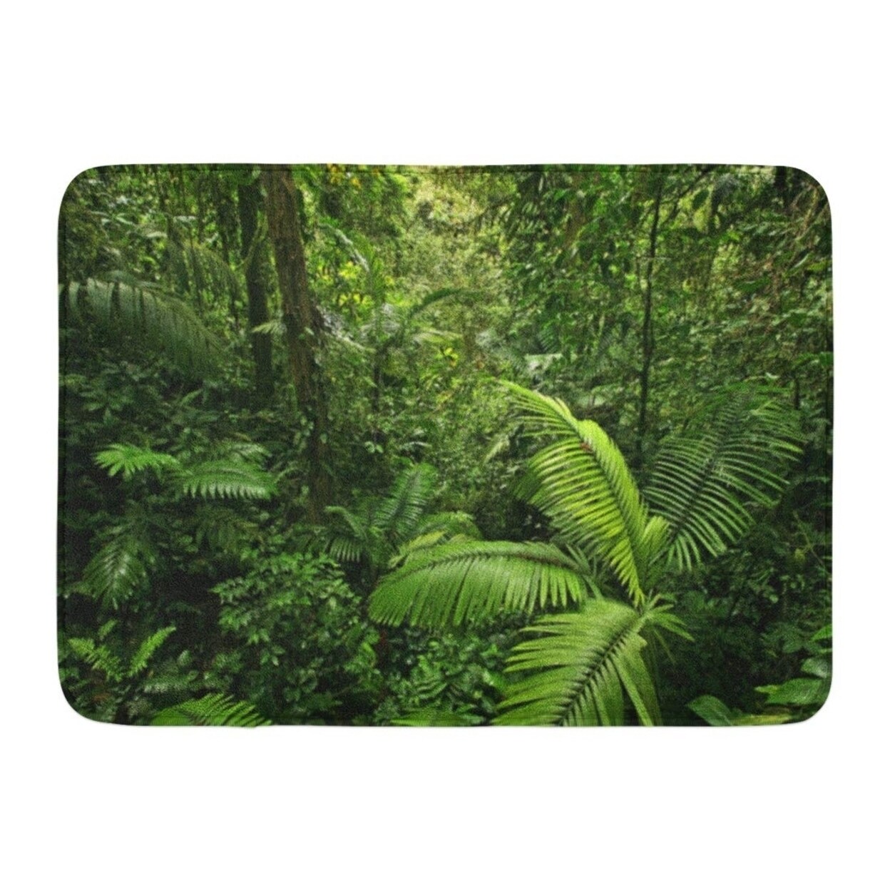 Shop Green Jungle Scene Looking Straight Into Dense Tropical Rain Forest Taken In Costa Rica Rainforest Doormat Floor Rug Multi On Sale Overstock 31778749