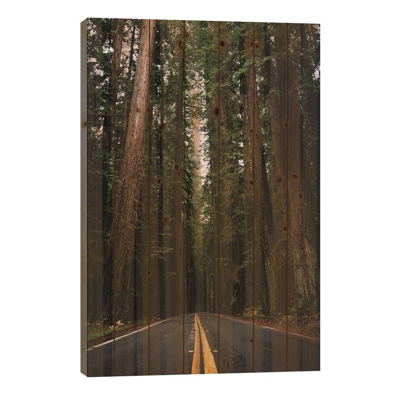 Forest Road, Redwood National Park, California Print On Wood by Nature Magick - Multi-Color - 26x18x1.5