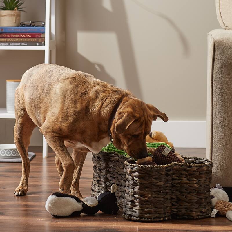 Bone Dry White Wash Hyacinth Bone Pet Basket Large 24x15x9