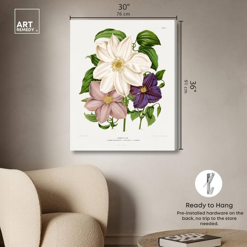 Clematis Canvas by Art Remedy, Gallery Wrapped