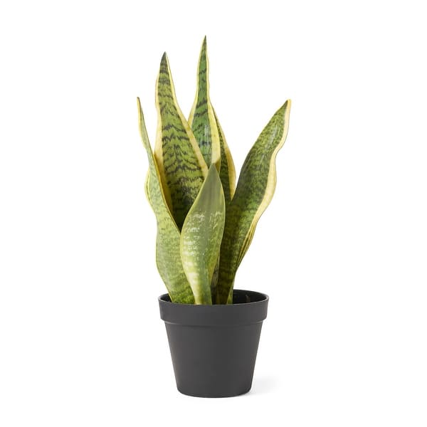 Morrow Artificial Tabletop Snake Plant By Christopher Knight Home Overstock 32227762