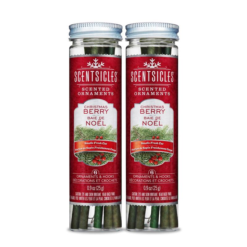 Scentsicles, Scented Ornaments, 6 ct. Bottle Fragrance-Infused Paper Sticks, 2 Pack - 5.9 in