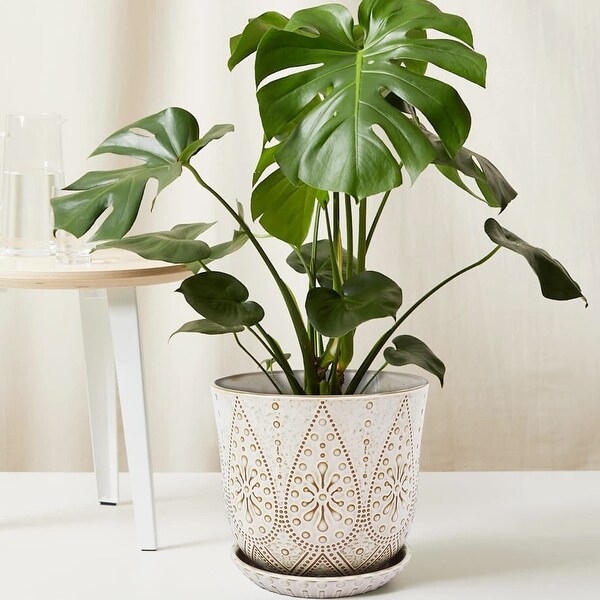 8 Inch Plant Pot, Creamy White Ceramic Planter with Drainage Holes