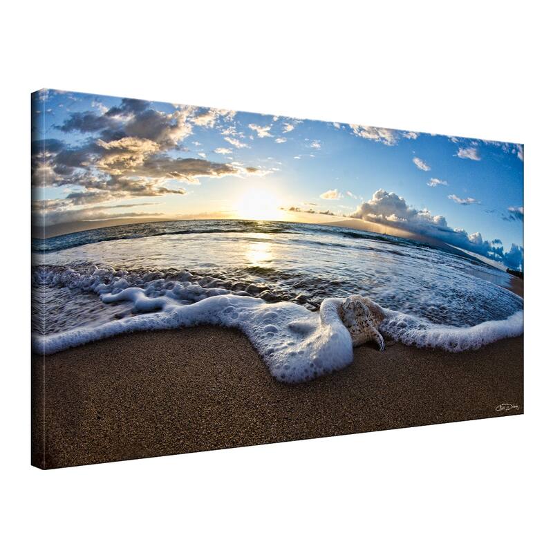 Ready2HangArt 'Sea Star' Wrapped Canvas Wall Art