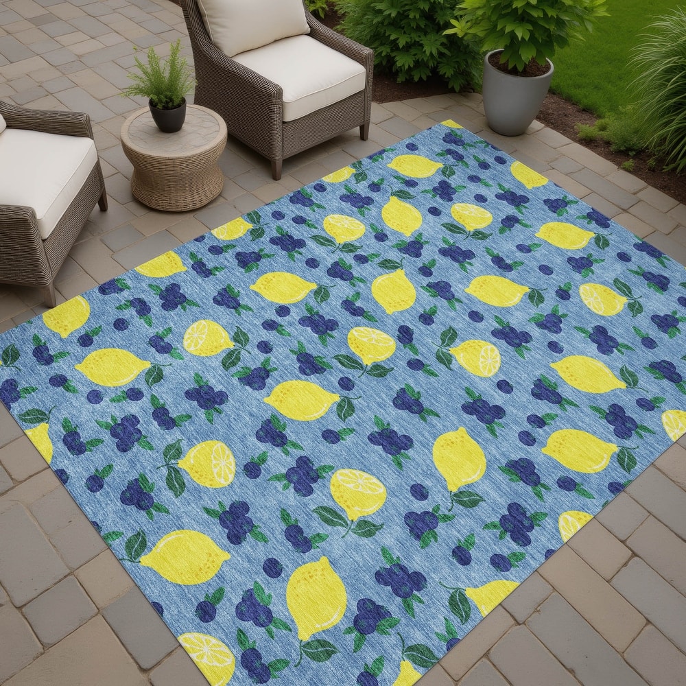 Machine Washable Indoor/ Outdoor Citrus Berry Chantille Rug