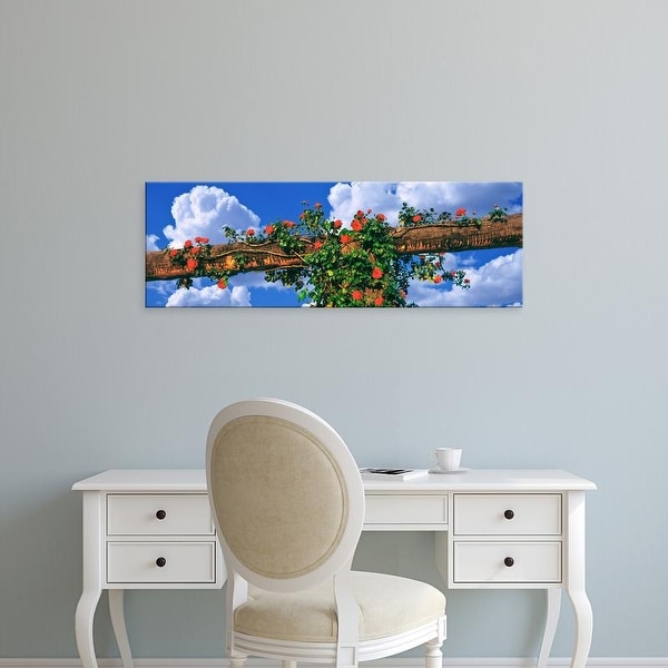 Easy Art Prints Panoramic Images's 'Arbor and spreading rose, Temecula, California, USA' Premium Canvas Art