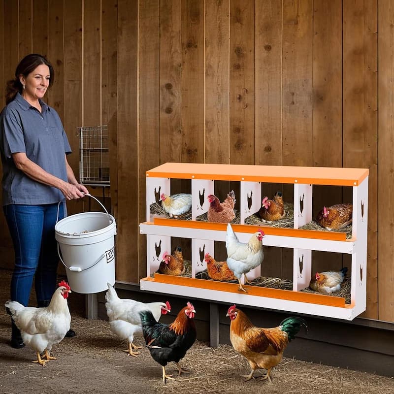 8 Compartment Metal Chicken Nesting Box, Laying Box for Hens Ducks Rabbits, Orange