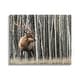 preview thumbnail 1 of 5, Stupell Elk Looming Out Birch Trees Animal Forest Photograph Canvas Wall Art - Grey 20 x 16