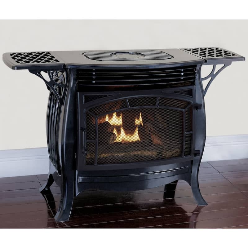 Duluth Forge FDSR25 26,000 BTU Vent Free Dual Fuel Free Standing Stove