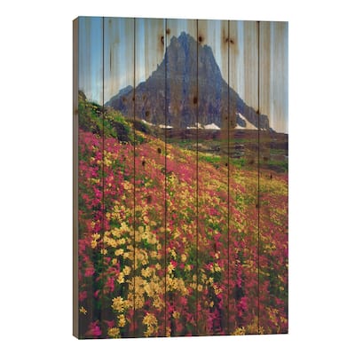 Summer Landscape, Glacier National Park, Montana, USA Print On Wood by Christopher Talbot Frank - Multi-Color
