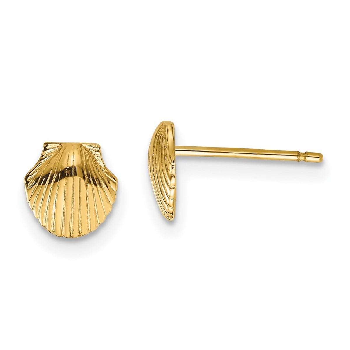 Curata Solid 14k Yellow Gold Small Scallop Shell Stud Earrings (7mm)