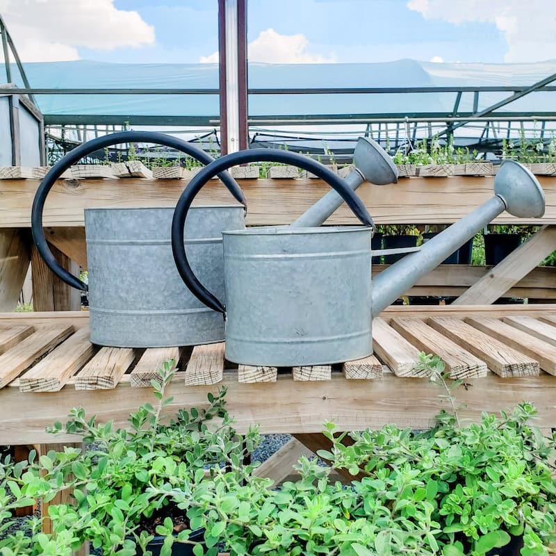 Oval Aged Zinc Watering Cans