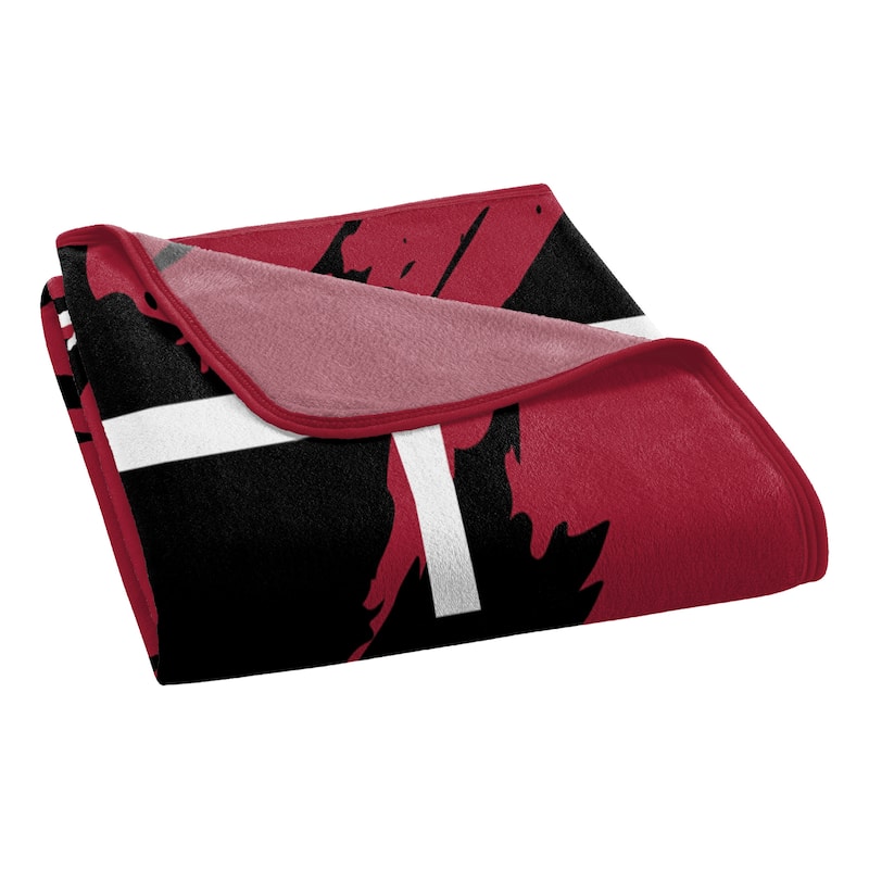 NCAA Arkansas Razorbacks Dimensional Micro Raschel Throw Blanket