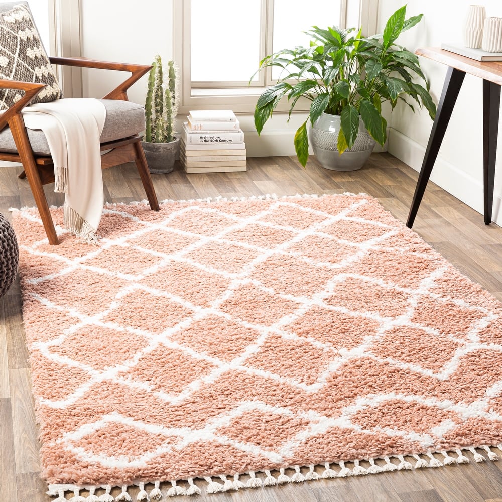 Artistic Weavers Racine Bohemian Diamond Shag Area Rug