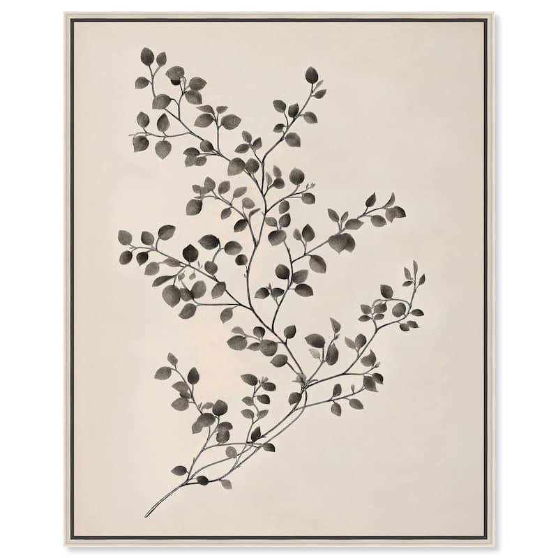 Bilberry Branch II Canvas by Art Remedy - Silver - 16" x 20"