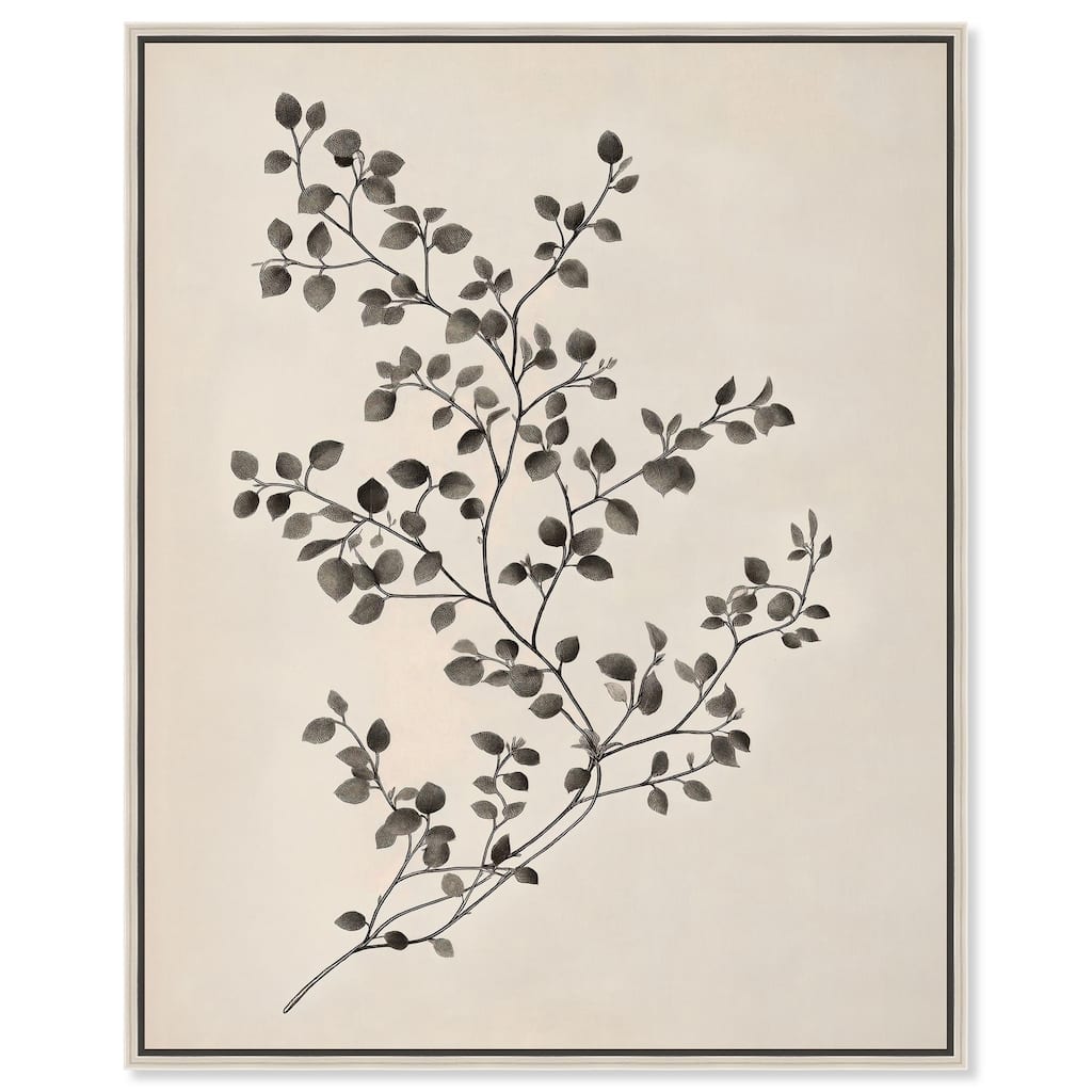 Bilberry Branch II Canvas by Art Remedy