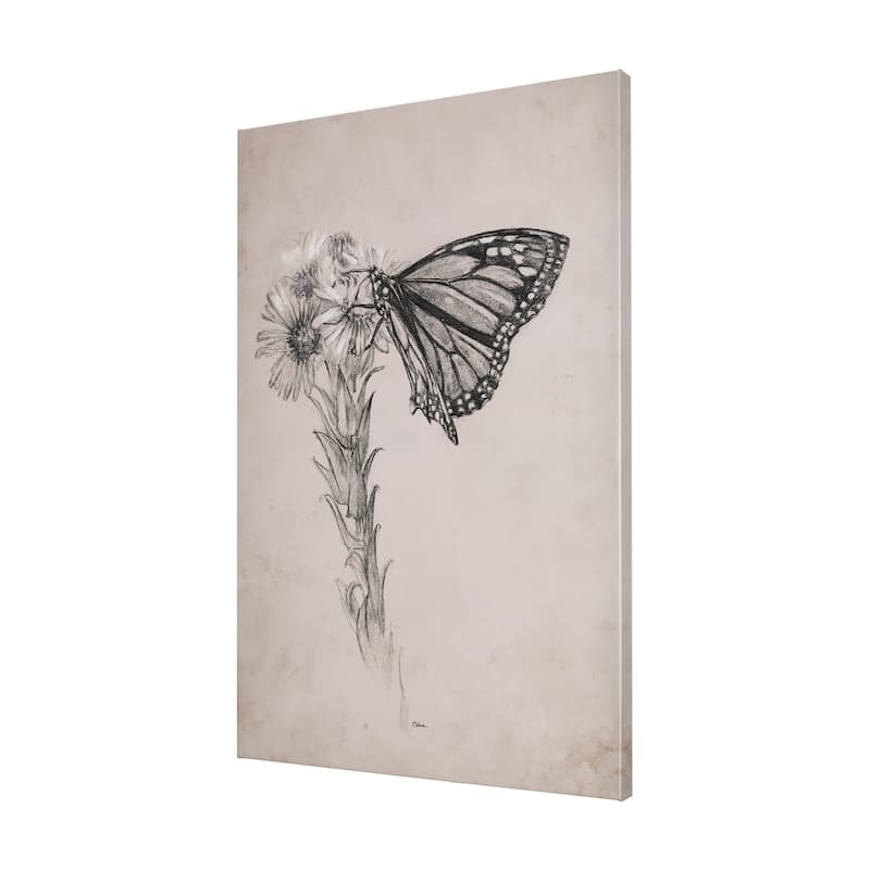Wild Aster With Monarch Butterfly Drawing III (30 x 45) Canvas Art Print