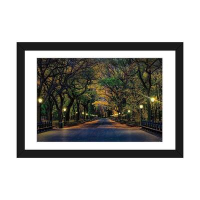iCanvas "Central Park Magic" by David Gardiner