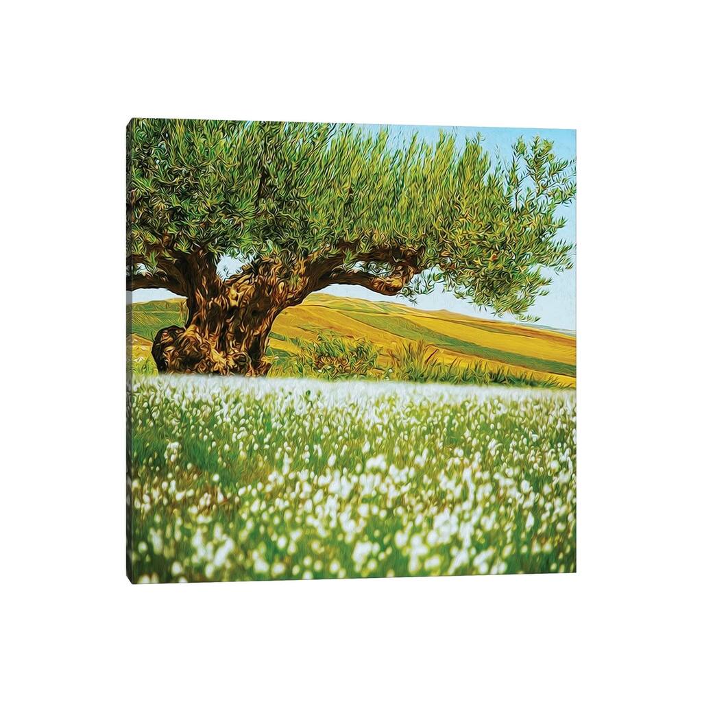 iCanvas "Beautiful Landscape Of An Old Olive Tree On The Background Of Fields" by Ievgeniia Bidiuk Canvas Print