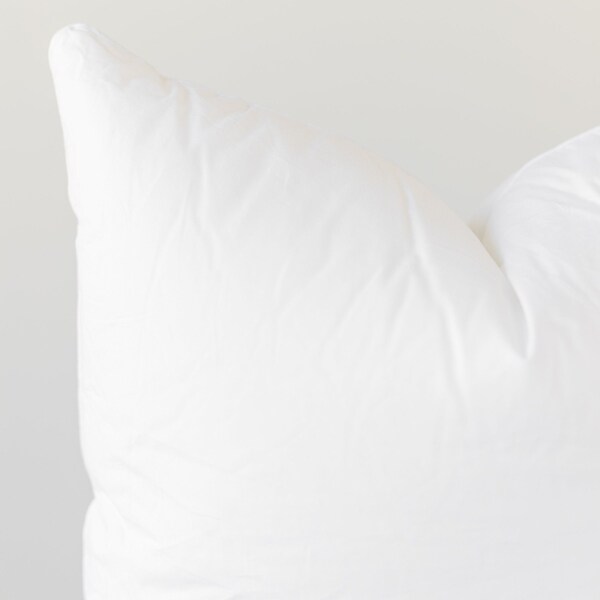 20 inch down pillow insert