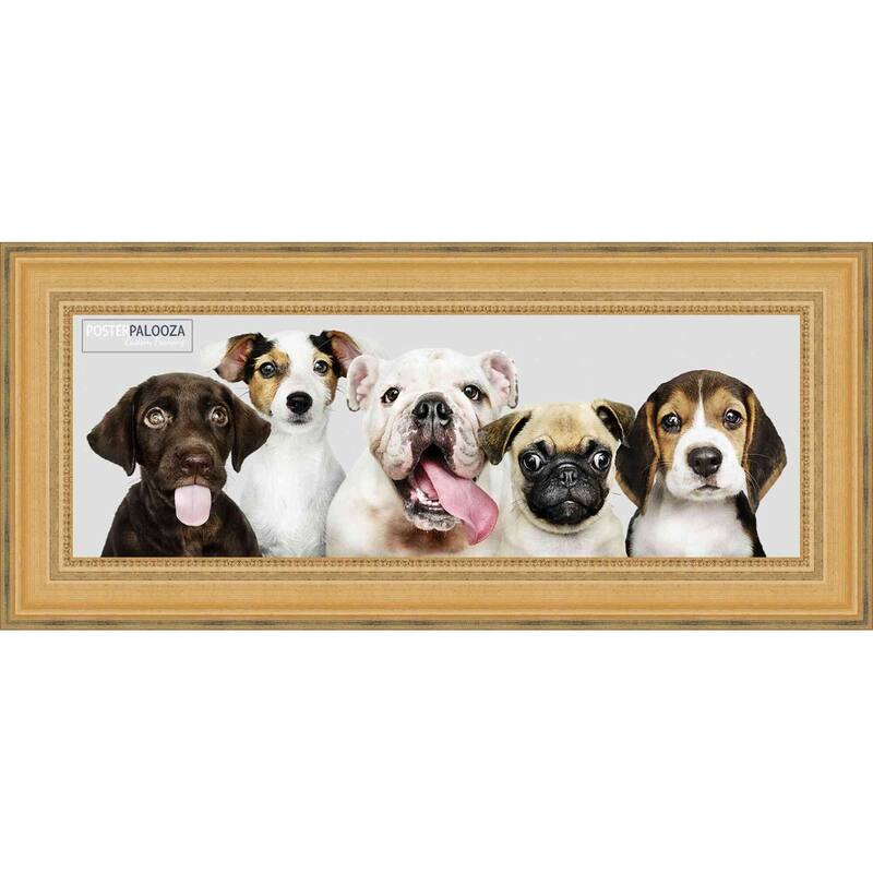 20x8 Traditional Gold Complete Wood Picture Frame with UV Acrylic, Foam