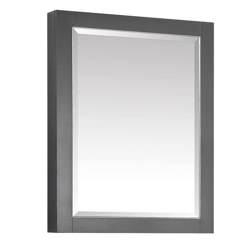 Avanity 22 in. Allie Mirror Cabinet - 22"W x 28"H