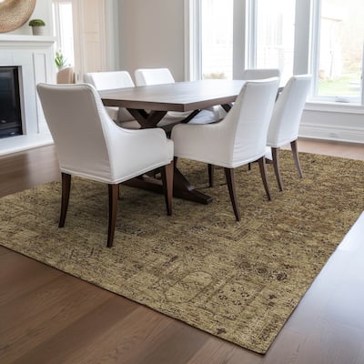 Machine Washable Indoor/ Outdoor Chantille Vintage Traditional Rug
