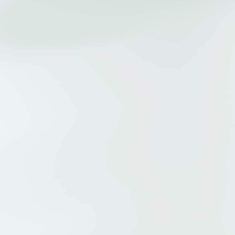 CraftPorch Minimalist Metal Platform Bed