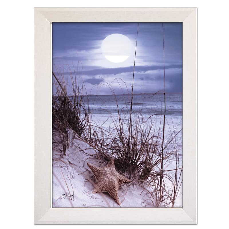 TrendyDecor4U Contemporary "The Seashore" Framed Print Wall Art by John Jones