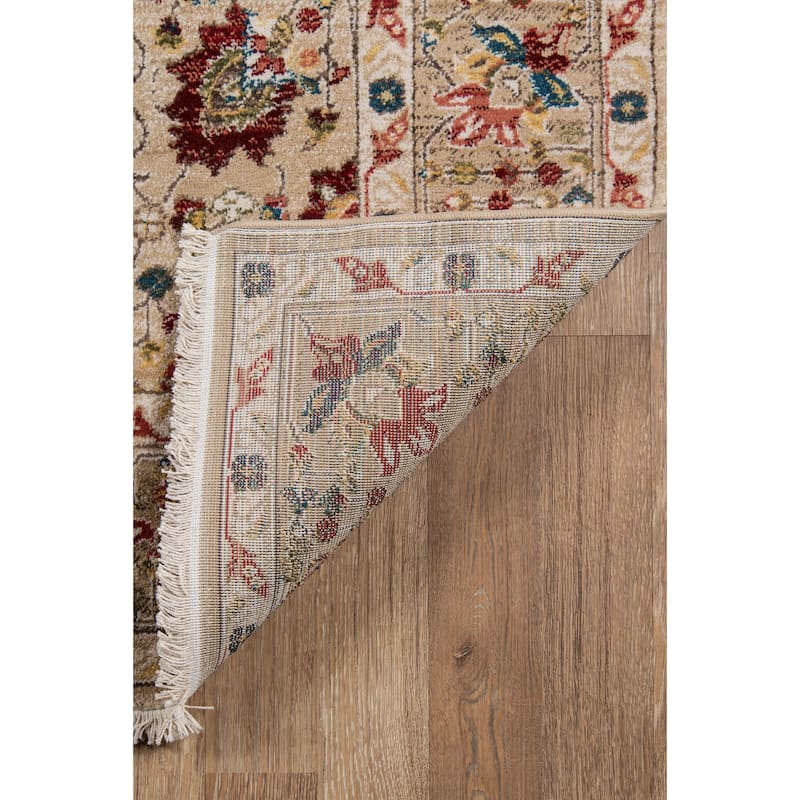 Momeni Lenox Traditional Area Rug.