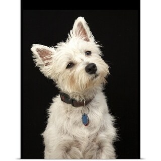 Millie the Westie, Alexandra Churchill - Free Shipping ...