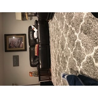 Safavieh Hudson Shag Vitchka Glamour Trellis Rug