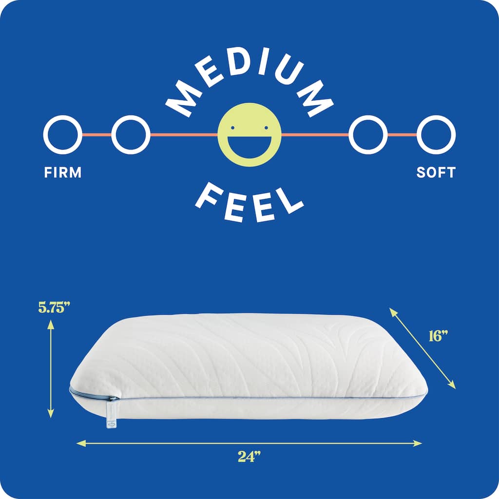 Sealy Dreamlife Memory Foam Pillow