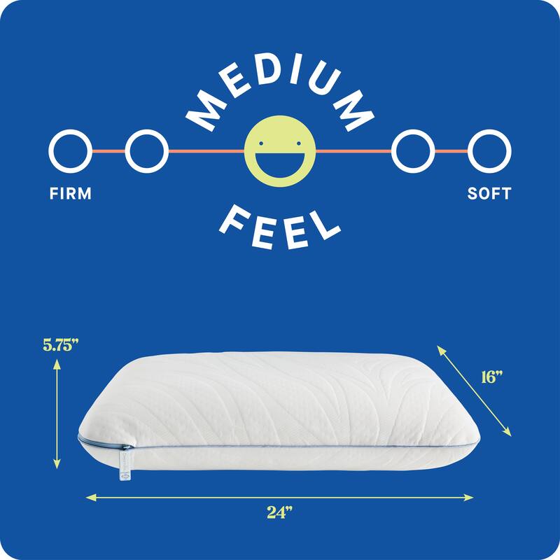 Sealy Dreamlife Memory Foam Pillow