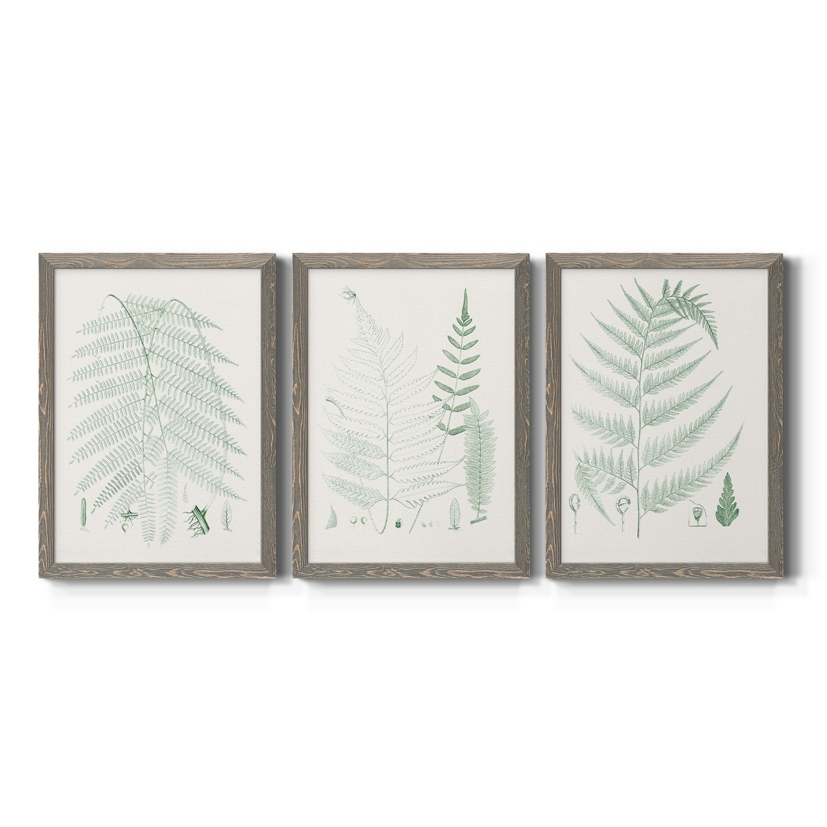 Verdure Ferns I-Premium Framed Canvas - Ready to Hang - Multi-Color
