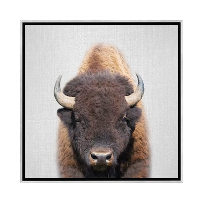 iCanvas "Buffalo" by Gal Design Framed