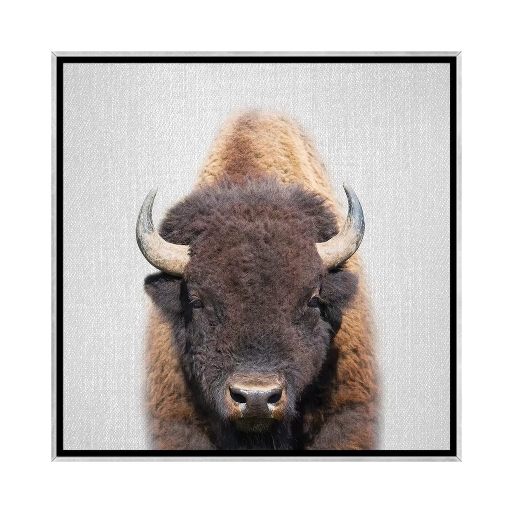 iCanvas "Buffalo" by Gal Design Framed