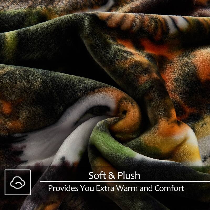 Raschel A&B Printed 2-ply Reversible Korean-style Plush Fleece Blanket