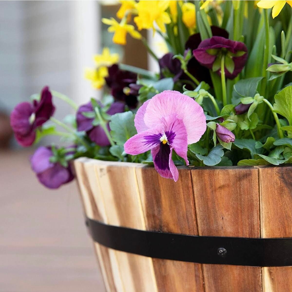 Acacia Half Whisky Barrel Planter Set - 2 Pack (18 Inch)-image