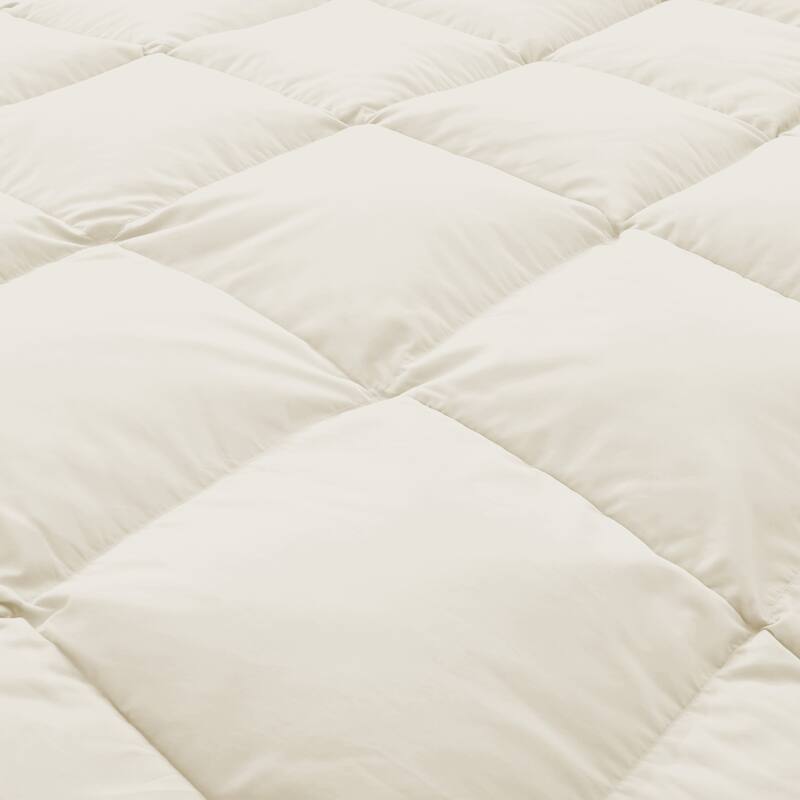 Medium Warmth All Season Paisley Floral & Solid Pattern Duvet Insert White Goose Down Feather Comforter