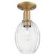 Option Brushed Brass / Clear Shade
