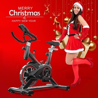 belt driven indoor bike