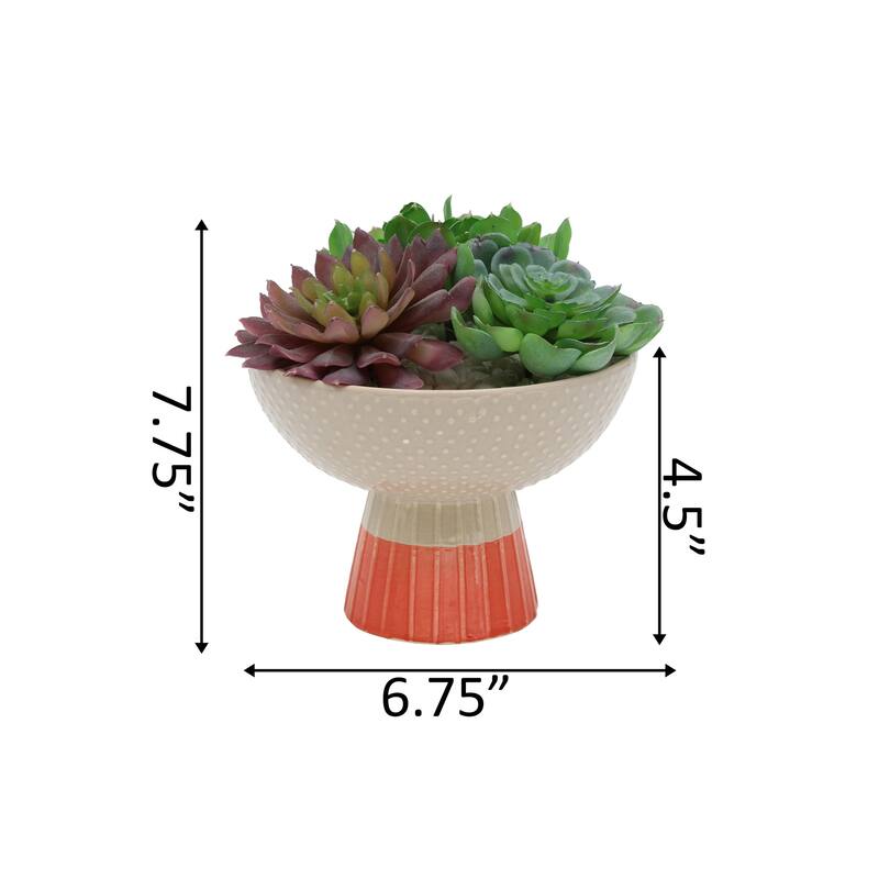 Artificial Plant Succulent Mix in Two Tone Bowl Ceramic Planter - ONE-SIZE