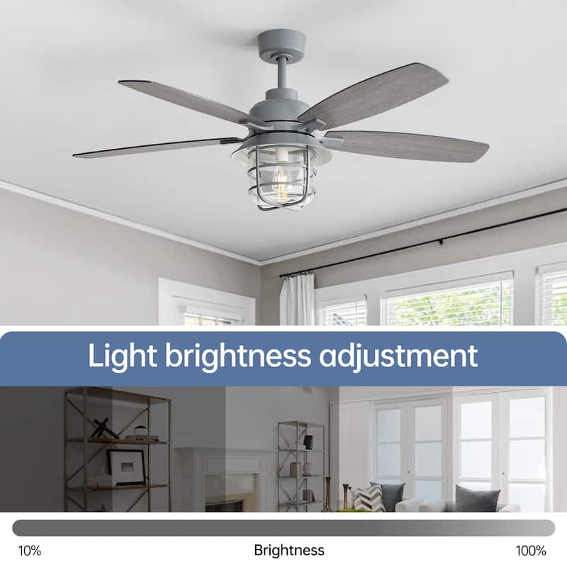 52-Inch Cement Grey Ceiling Fan With E26 Light,Glass Lampshade,5 Plywood Blades,Noiseless DC Motor,6 Wind Speed