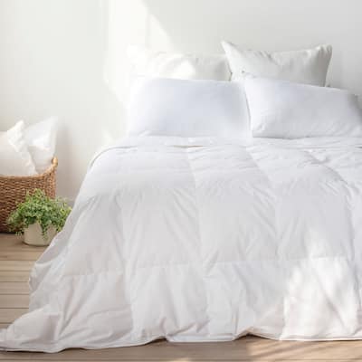 Lightweight Feather & Down Duvet Comforter Insert by BOKSER HOME