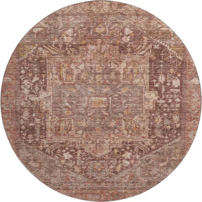 Premium Washable Super Soft Vintage Traditional Mayfield Rug
