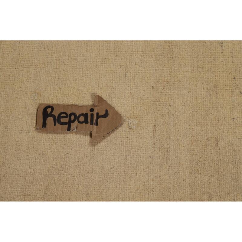 Solid Gabbeh Oriental Foyer Rug Handmade Wool Carpet - 3'3"x 4'11"