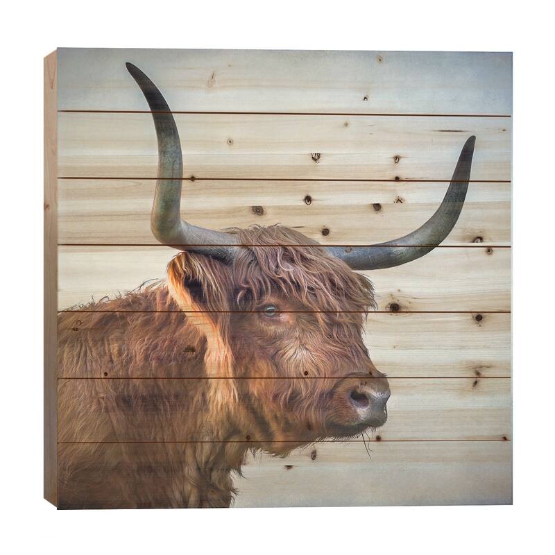 Blue Eyed Girl Print On Wood by Mark Gemmell - Multi-Color - 26x26x1.5