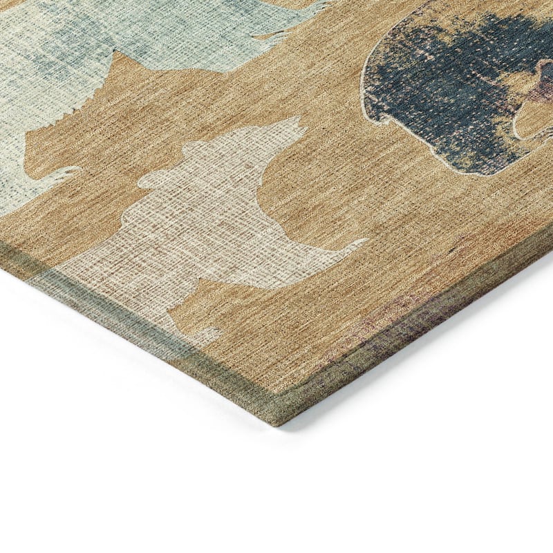 Machine Washable Indoor/ Outdoor Modern Bear Chantille Rug